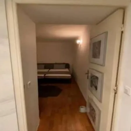 Centre Galia 210 M2 Cannes